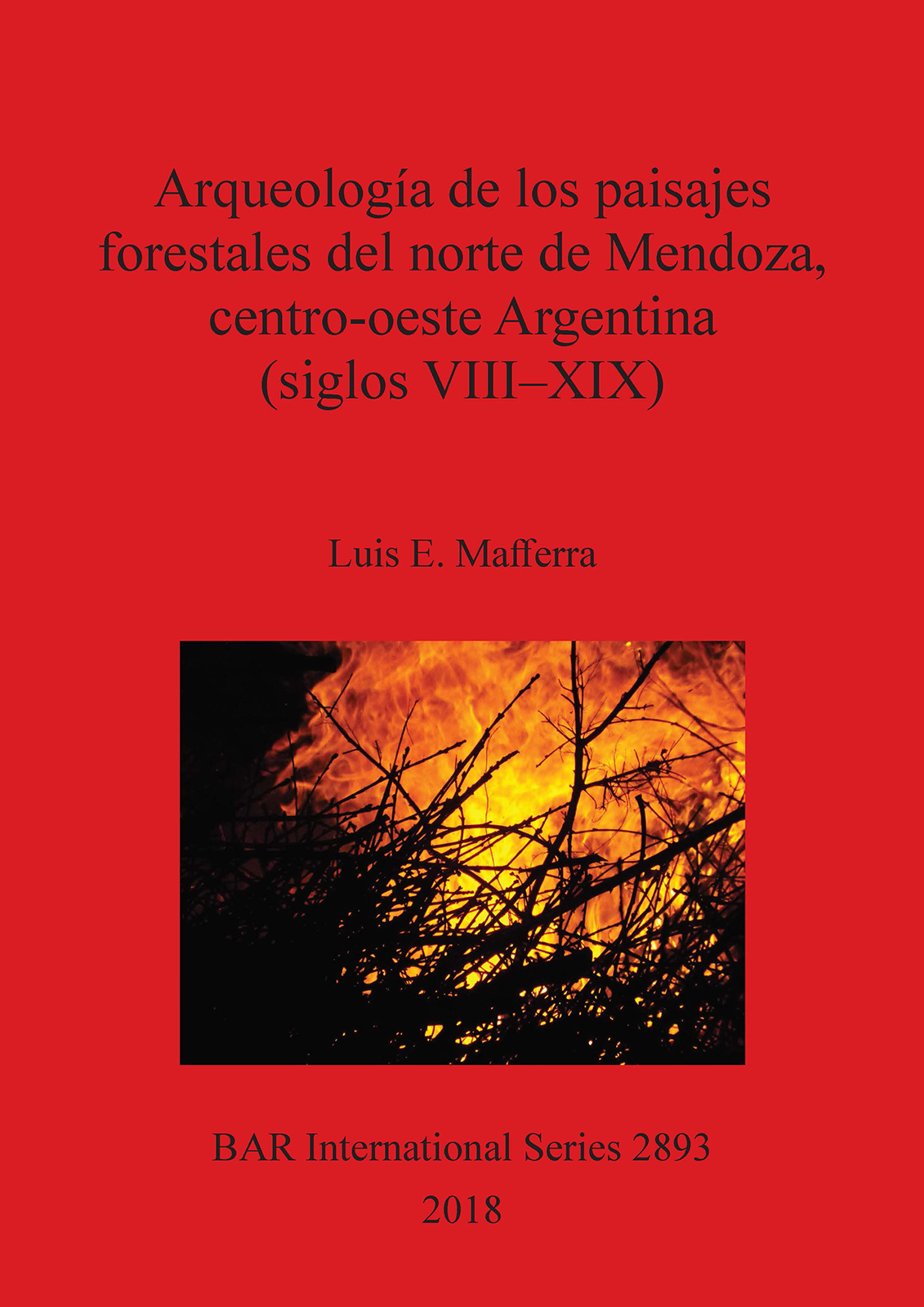 Copertina del libro