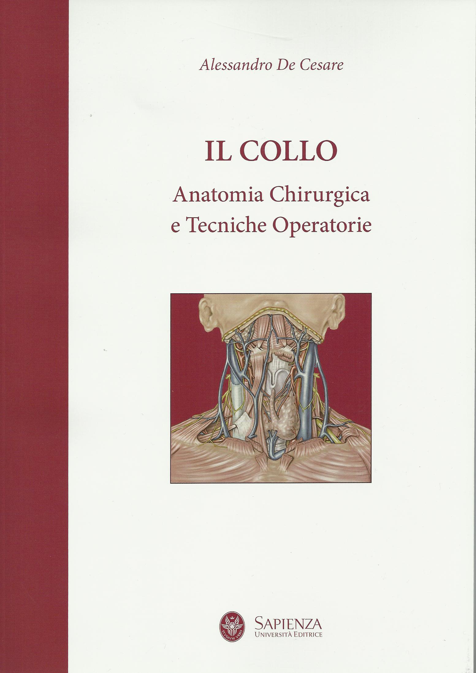 Copertina del libro